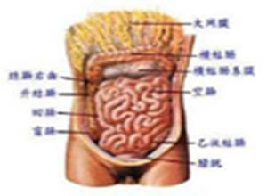 五积