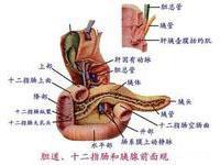 胰腺结核