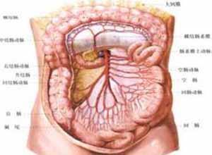 肠系膜血管缺血性疾病
