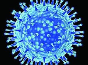 H7n7