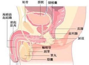 男性病