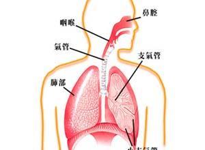 呼吸疾病