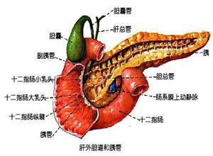 胰胆汁综合征