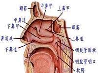 鼻后滴漏综合症