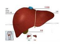 慢性肝病