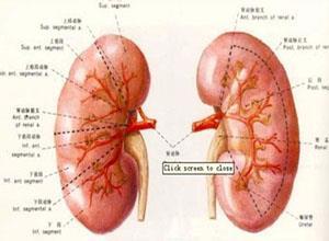 小儿急性肾功能衰竭