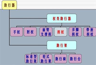 拐杖的使用方法