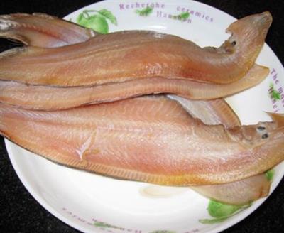 鳎目鱼