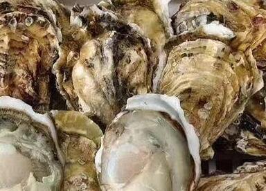 生蚝能和鸡蛋一起吃吗_生蚝和鸡蛋可以一起吃吗/同吃