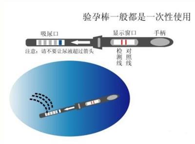 验孕棒的使用方法图片图解