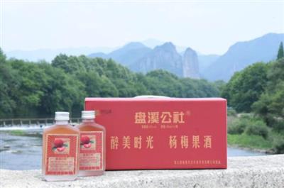 创业好项目，杨梅果酒好产品，年入百万不是梦！