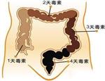 清肠、除口臭的方法