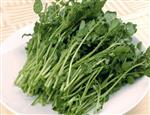 怀孕女人不能吃的食物