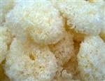 4大药膳食疗方 让你吃出“瘦美”人生