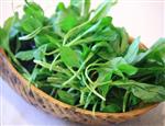 准妈妈常吃点野菜好