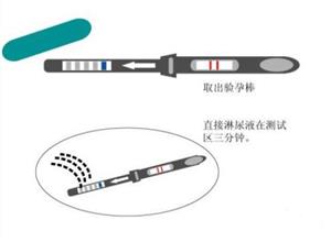 验孕棒的使用方法图片图解