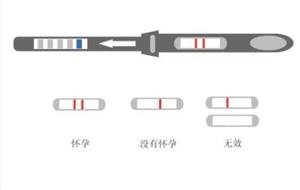 验孕棒的使用方法图片图解