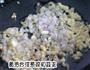 椰香咖喱虾饭的做法图解2