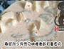 椰香咖喱虾饭的做法图解4