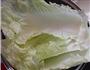 肉碎白菜饼的做法图解2