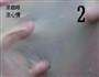 芝士肉松面包的做法图解2