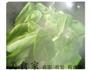 香菇青菜梆的做法图解6