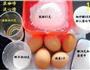 双色双味蜜红豆卷的做法图解1