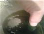 飘香粽子的做法图解16