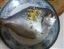 番茄燉鯧魚的做法图解2