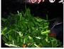 豆腐炒韭菜的做法图解9