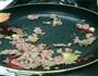 番茄肉末煮豆腐的做法图解2