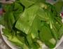 油菜平菇的做法图解4