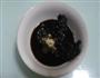 豆豉蒸豆腐的做法图解4