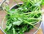 小芹菜鲜肉烧麦的做法图解1