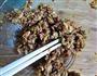 茄子猪肉水饺的做法图解5