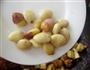 银杏烧豆腐的做法图解7