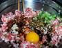 韭菜木耳水饺的做法图解2