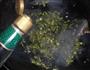 麻油雪菜的做法图解8
