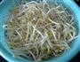 粉条豆芽菜的做法图解5