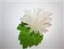 水晶白玉菊的做法图解8