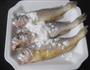 油豆腐小黄鱼煲的做法图解3