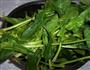 菠菜墩的做法图解1