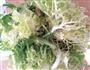 凉拌苦菊的做法图解6