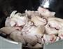 黄豆炖猪脚的做法图解4