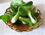 猴头菇扒油菜心的做法图解8