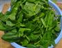 老醋菠菜的做法图解2