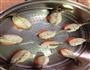 虾饺的做法图解8