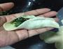 韭菜鲜肉饺一条龙的做法图解16