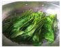 鸡蛋菠菜饼的做法图解2