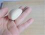 炼乳馒头的做法图解10